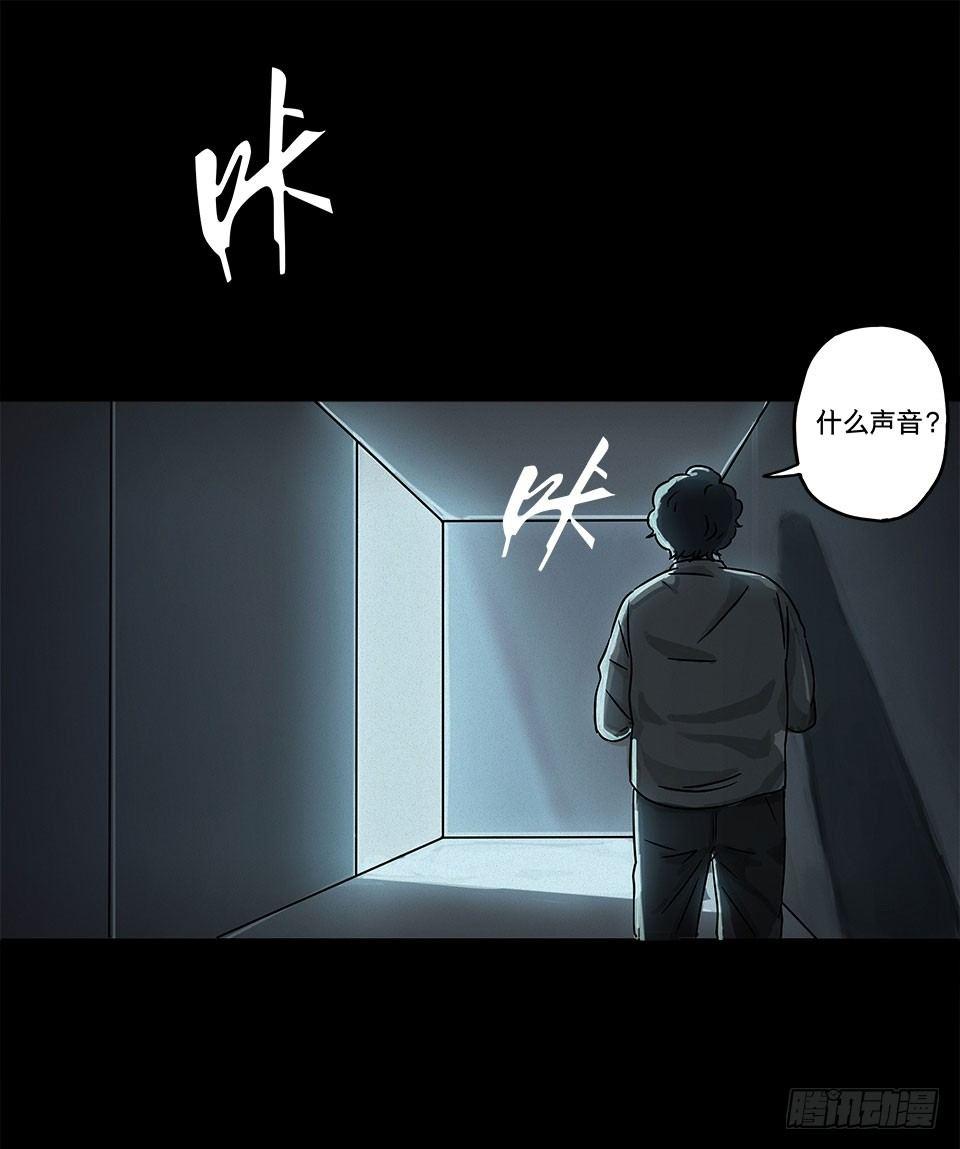 龟-中91