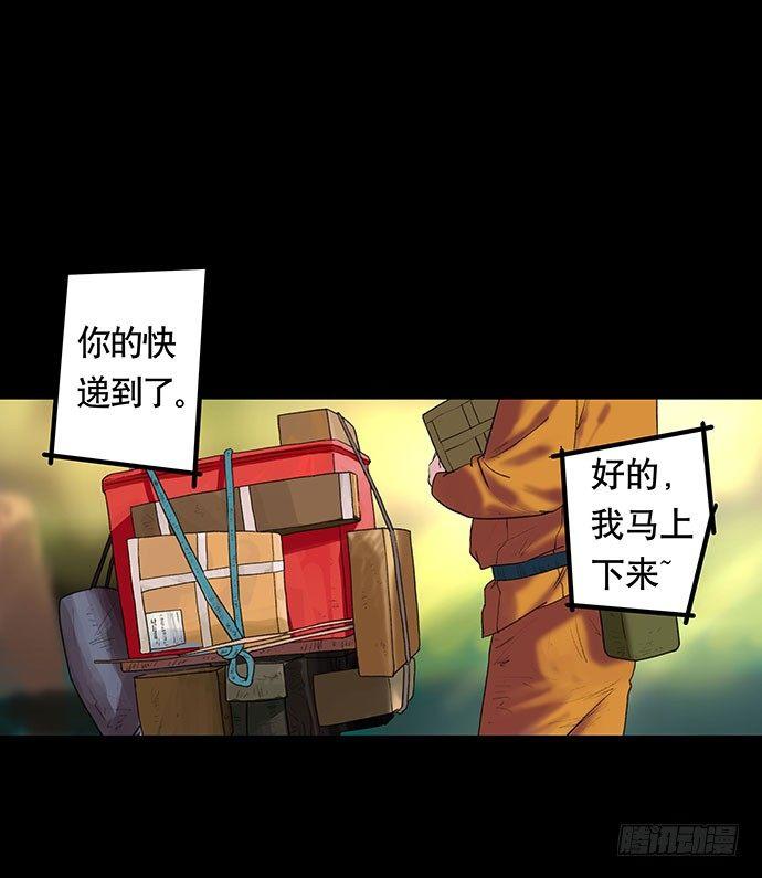 猫-23