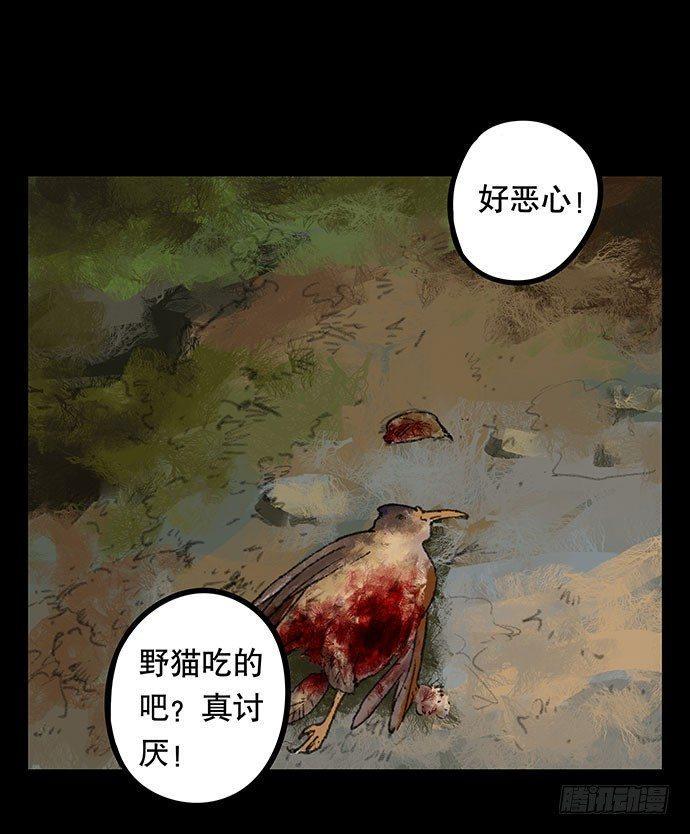 半片猪-上50