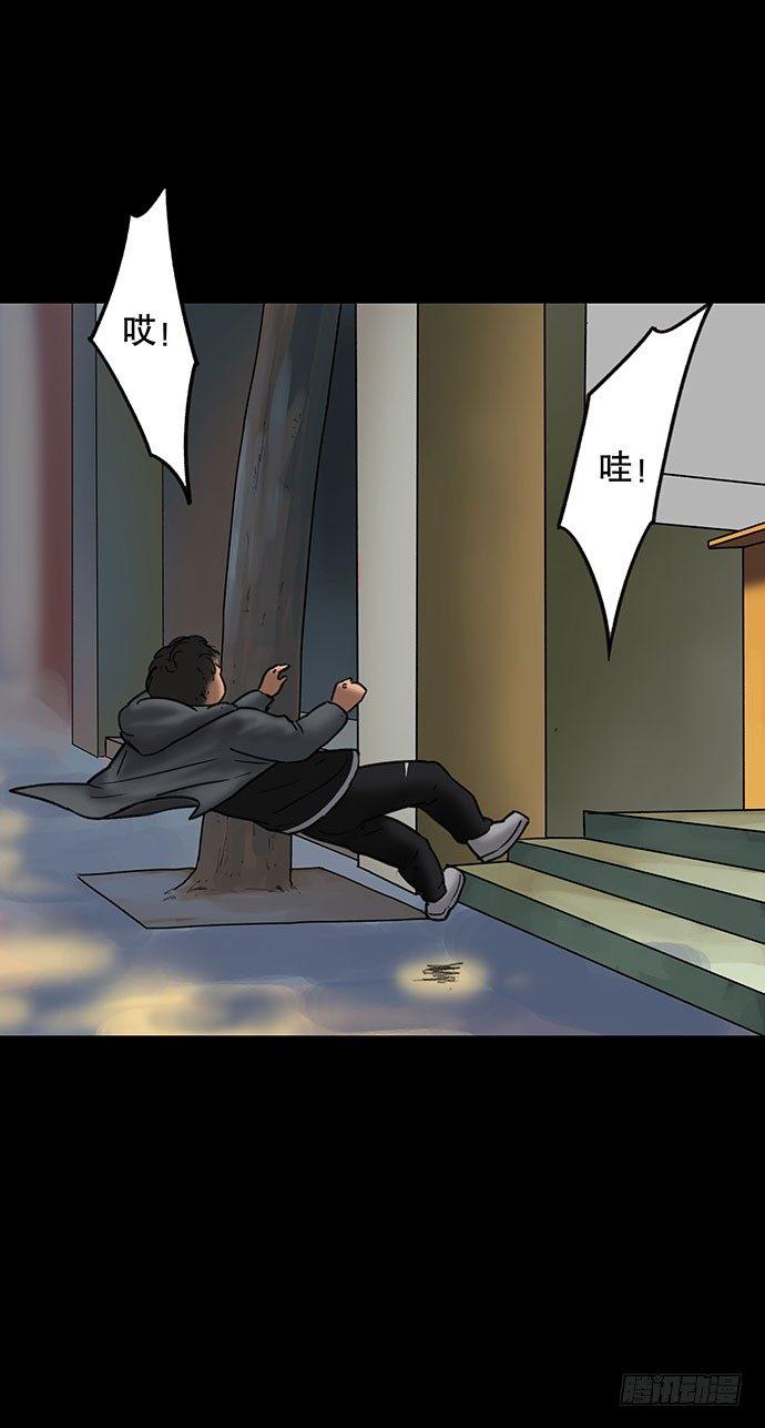 花-244
