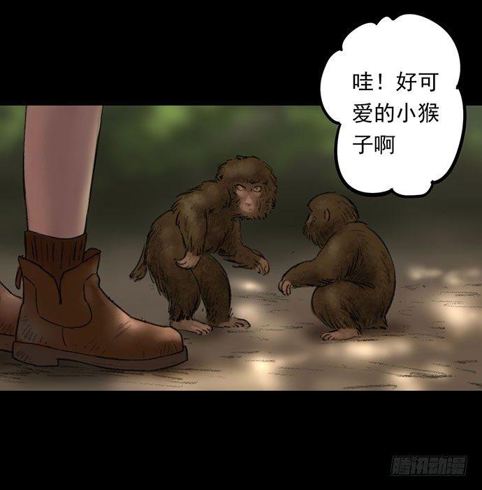 猴戏3112