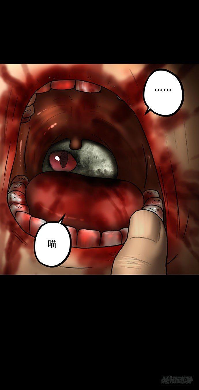 猫-516