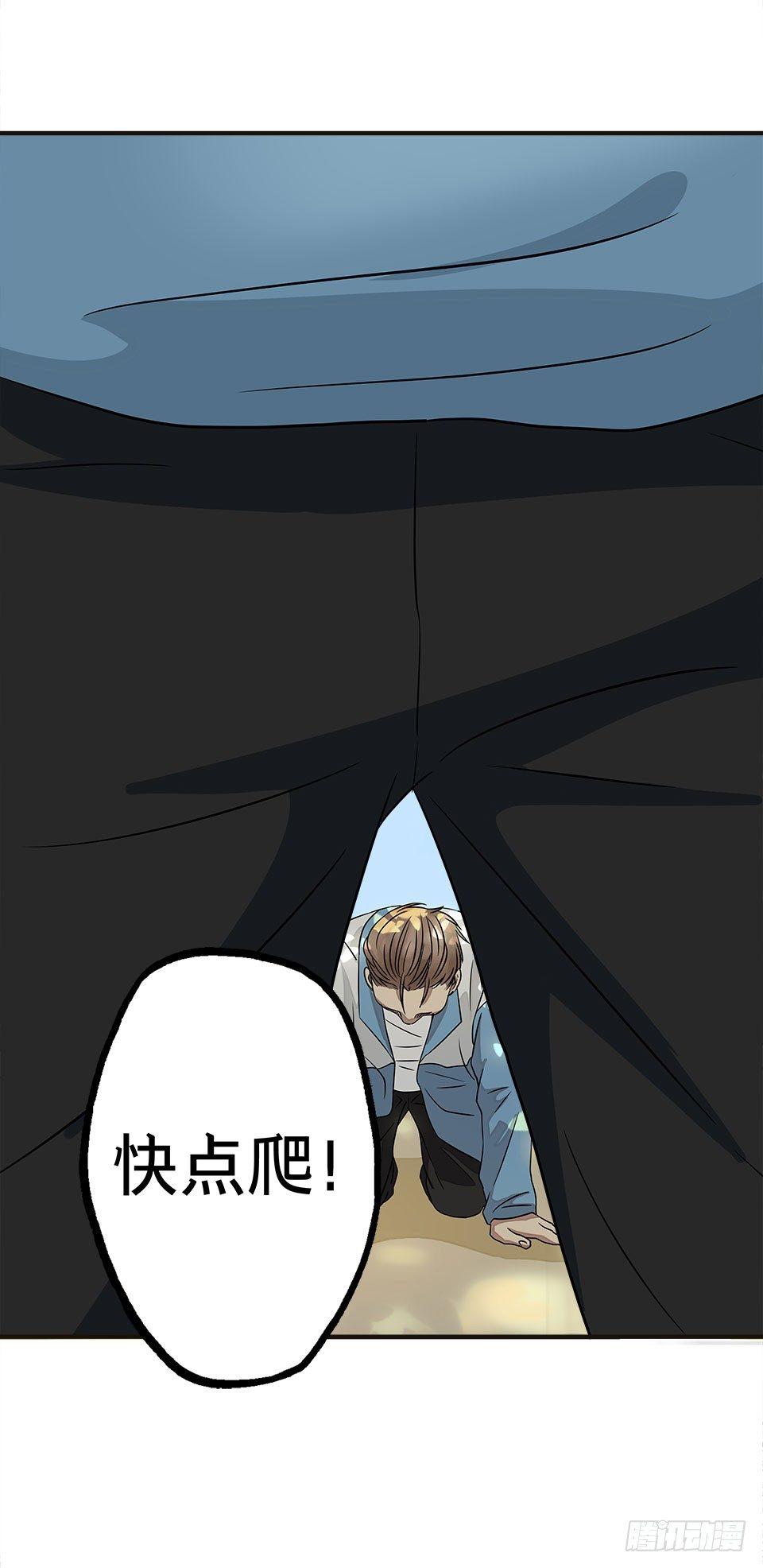 龟-下47