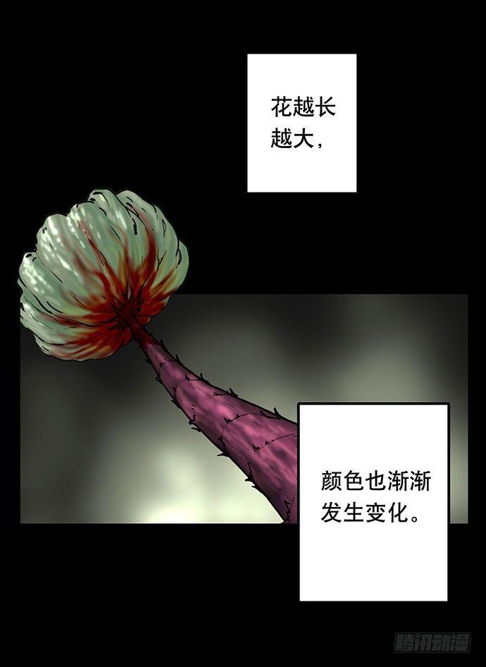 花-335
