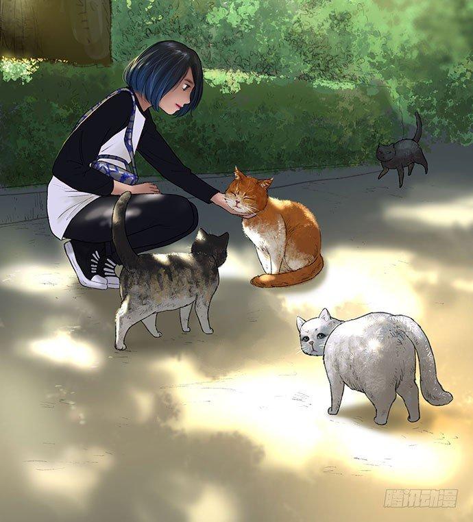 猫-14