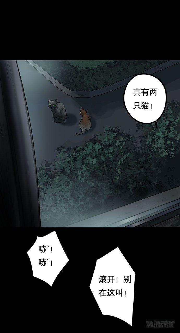 猫-413