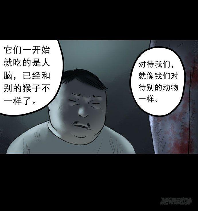 猴戏359