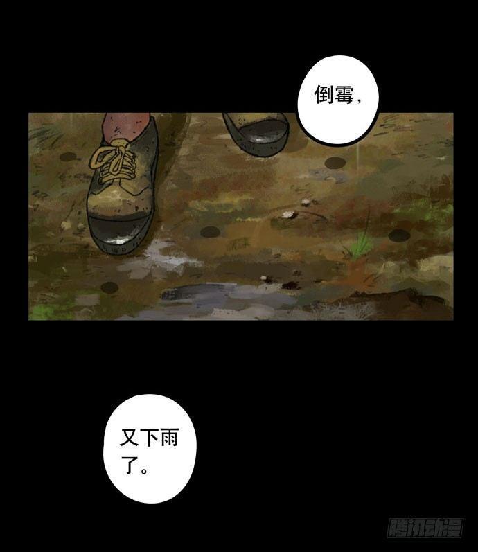 半片猪-上2