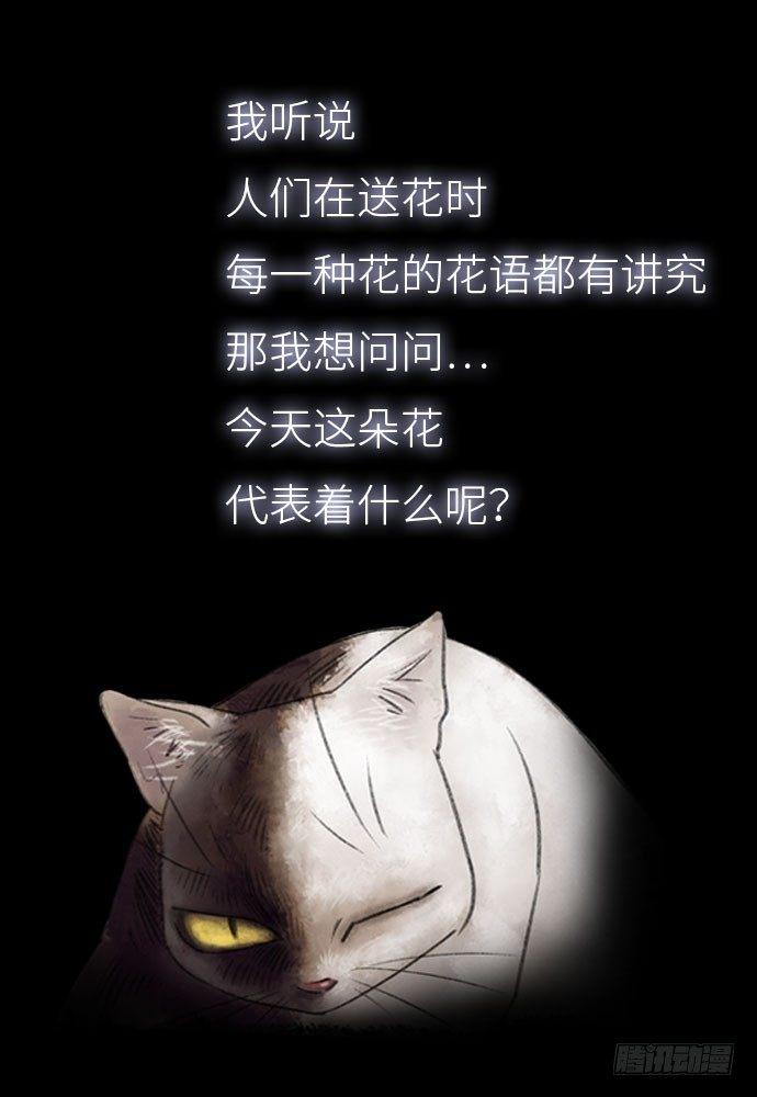 花-10