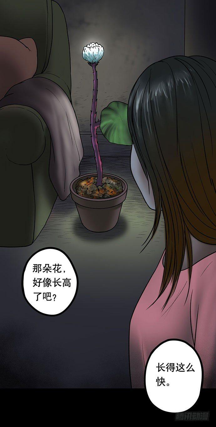 花-225