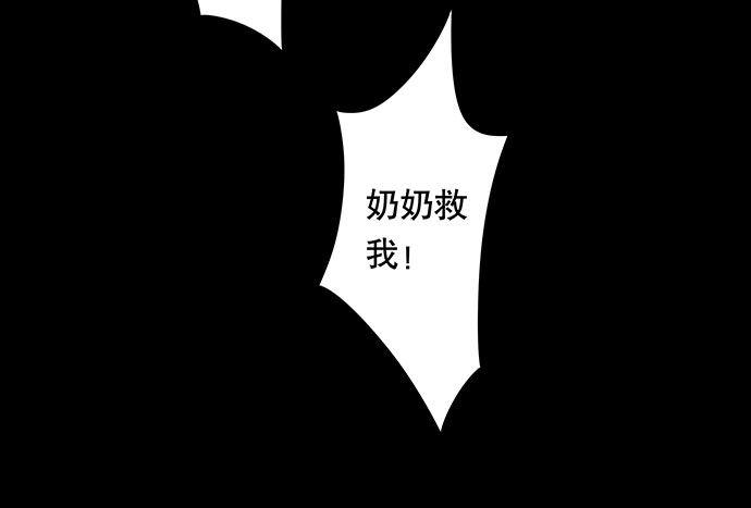 猫-242