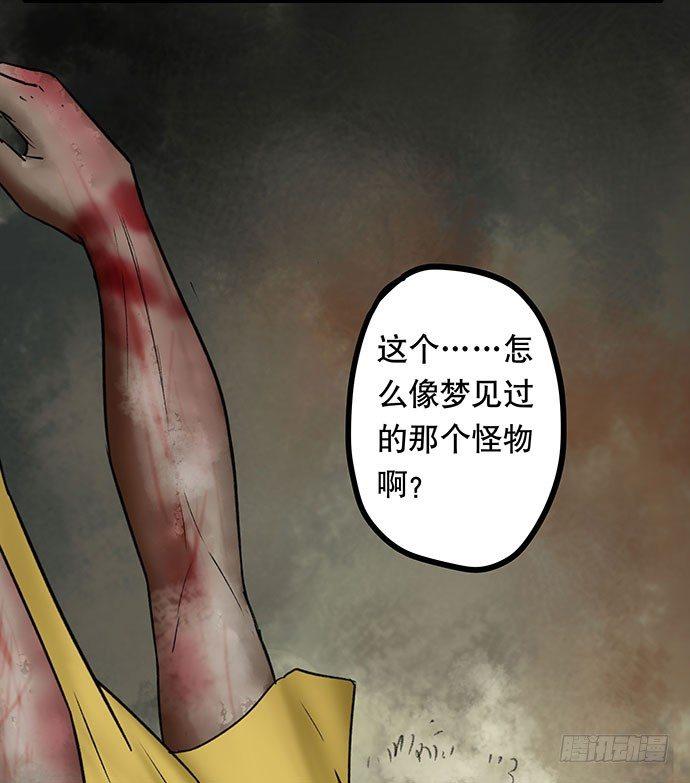 猫-574
