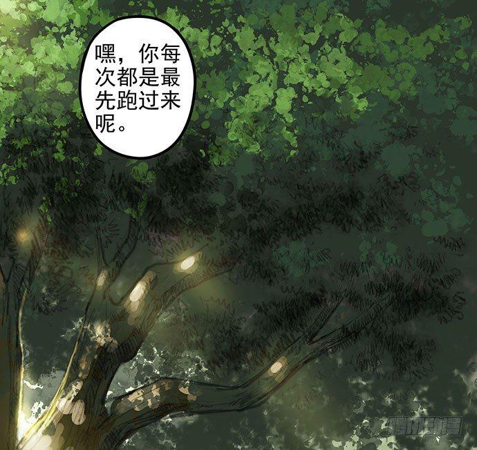 猫-12