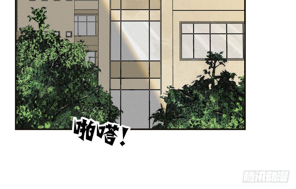 龟-中24