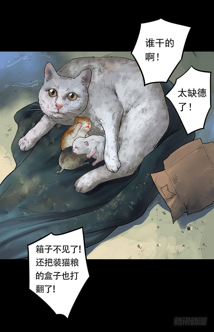 猫-140