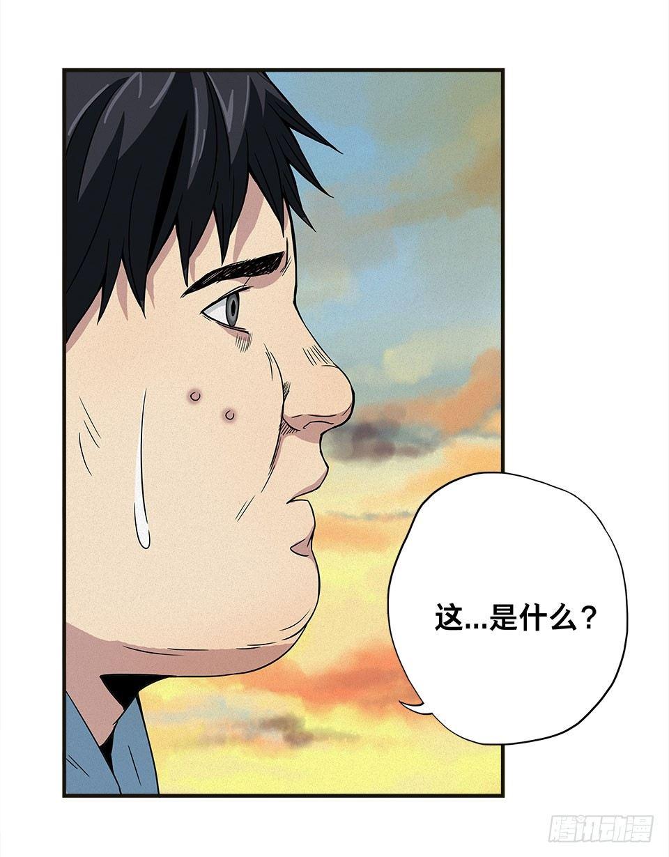 龟-上51