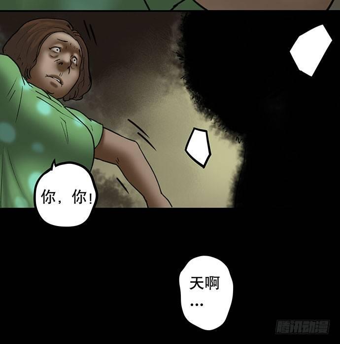 猫-570