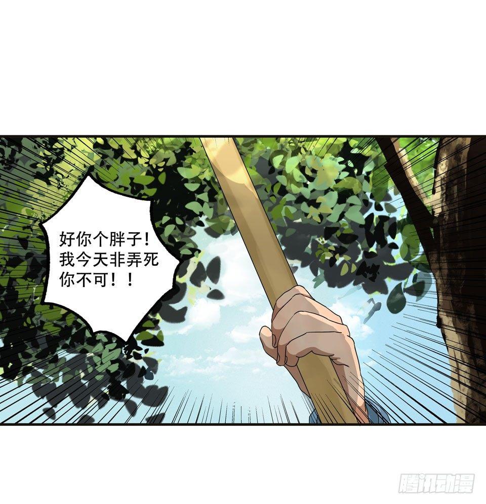 龟-中30