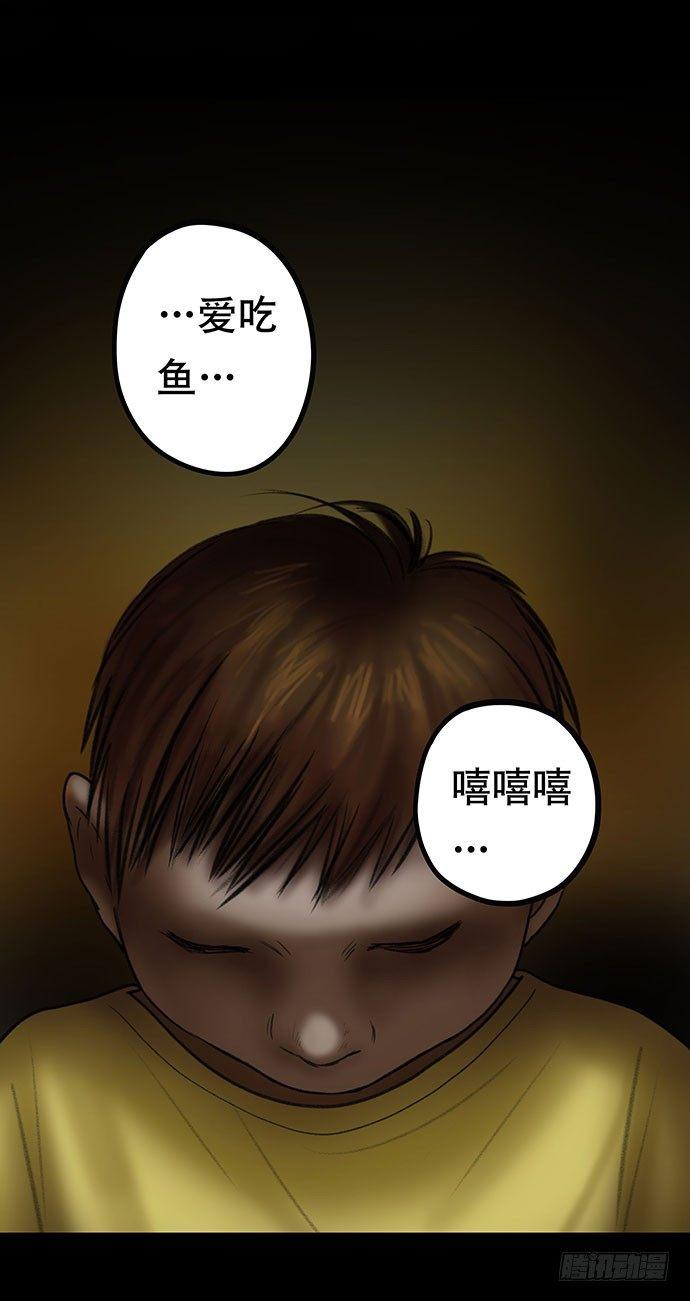 猫-432