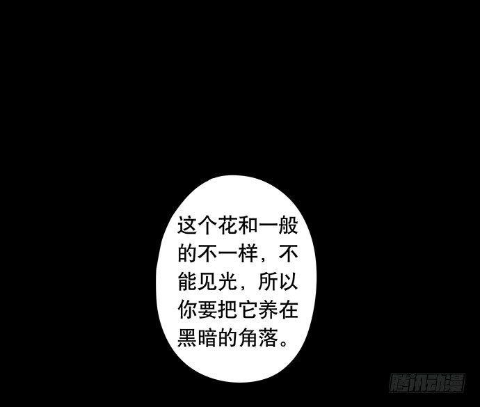 花-157