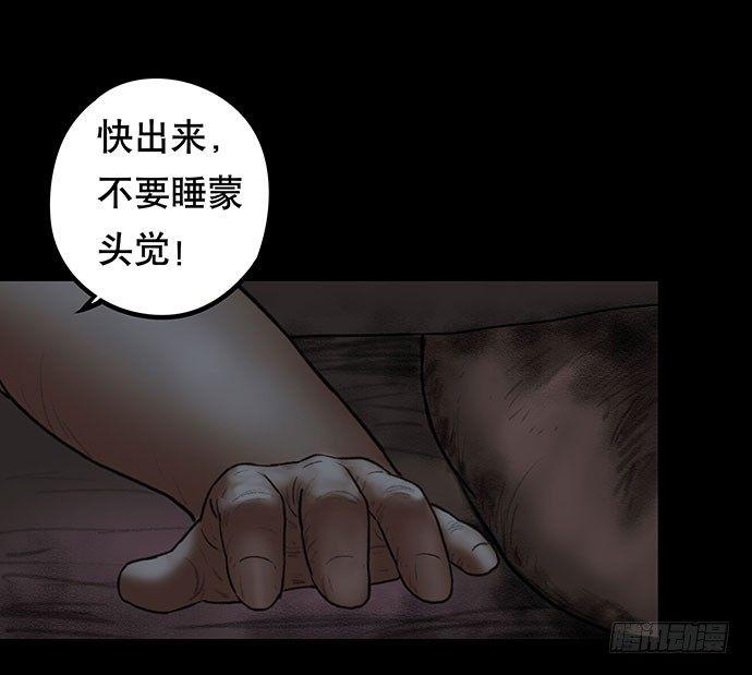 猫-360
