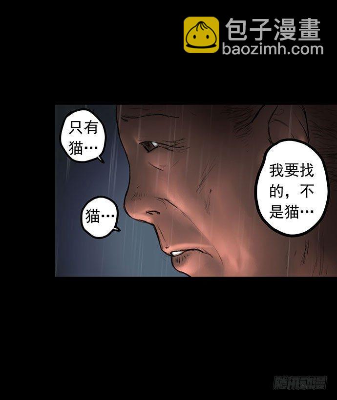 猫-138
