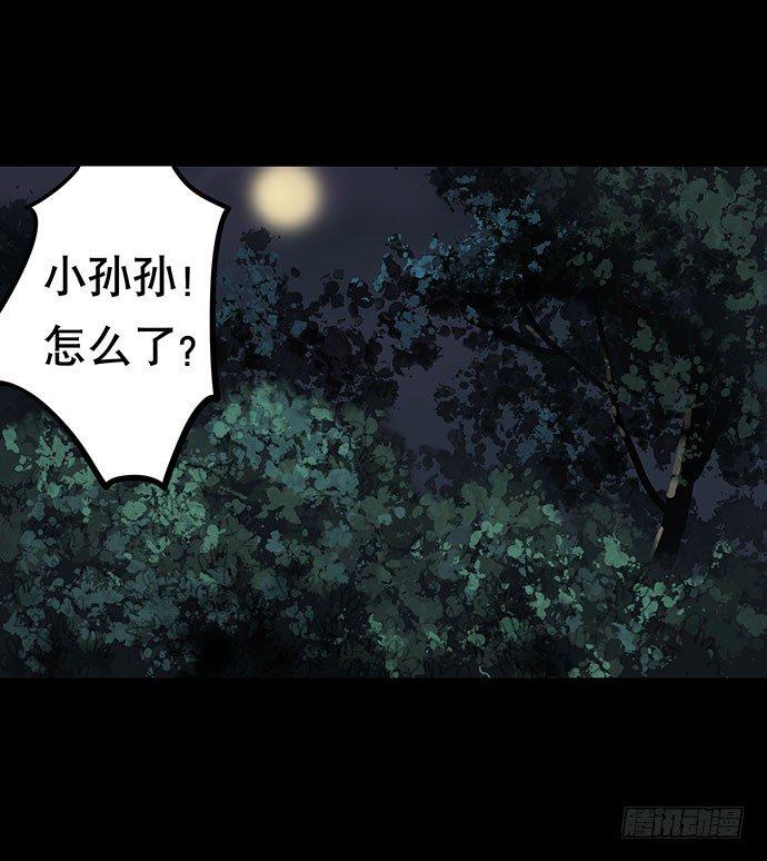 猫-419