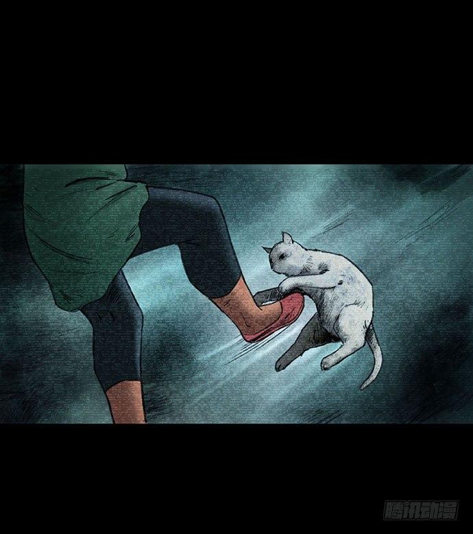 猫-31