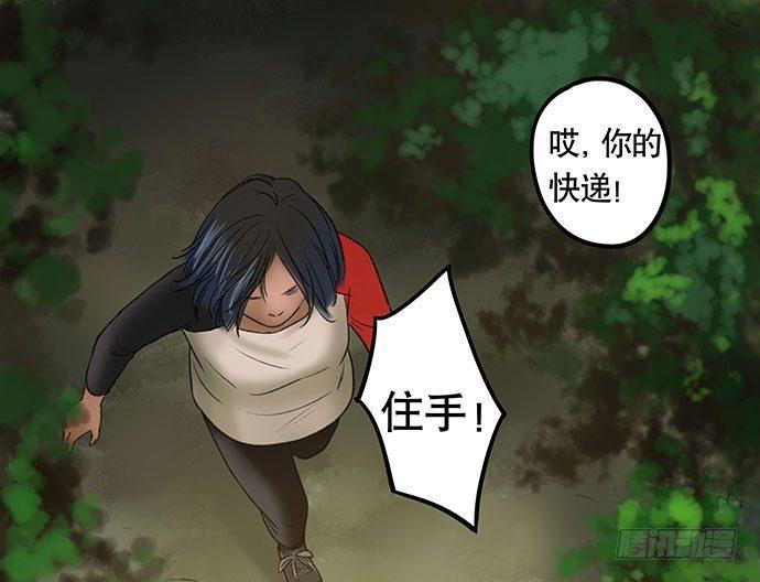 猫-220