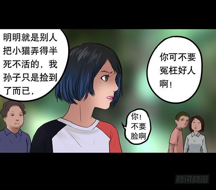 猫-254