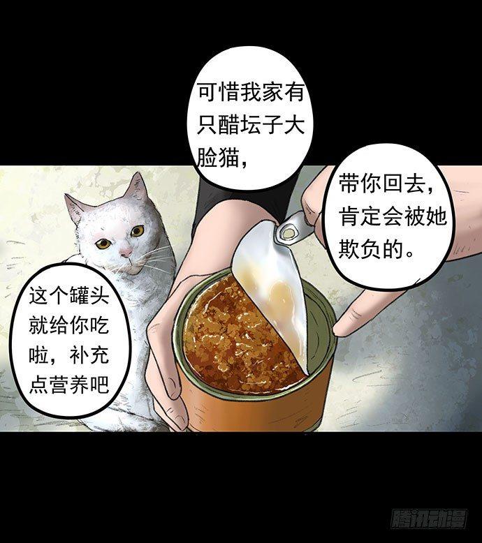猫-119