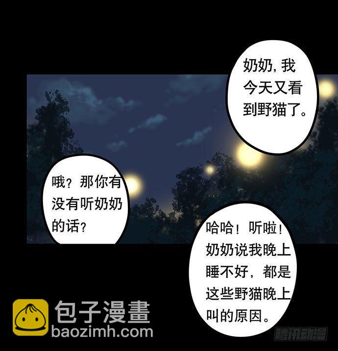 猫-456