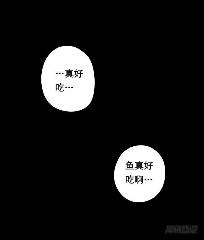 猫-446