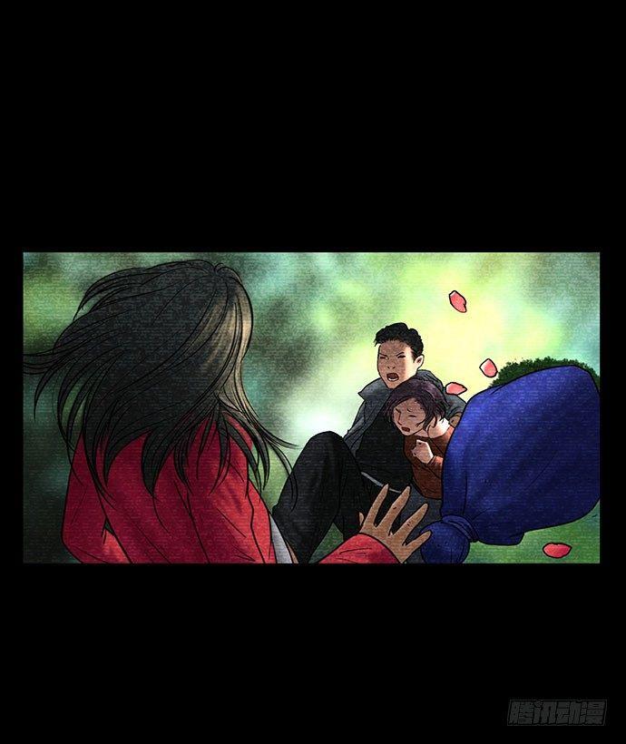 花-20