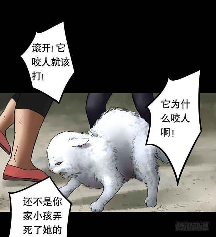 猫-248