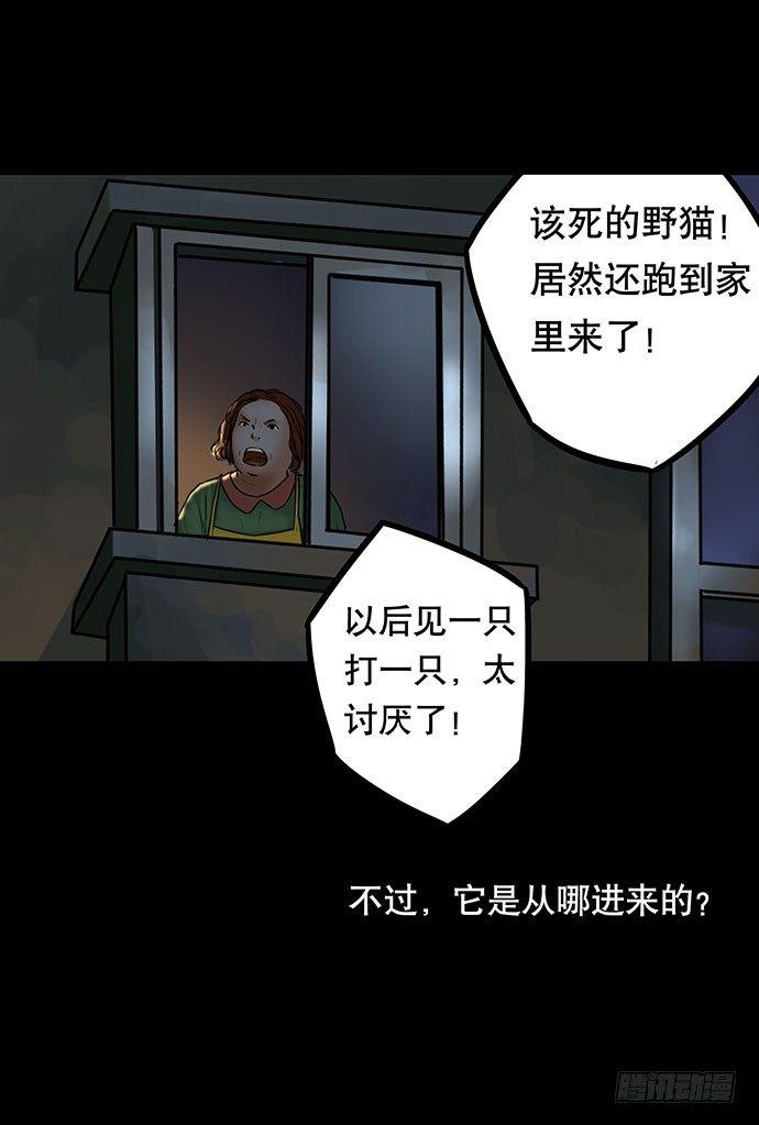 猫-324