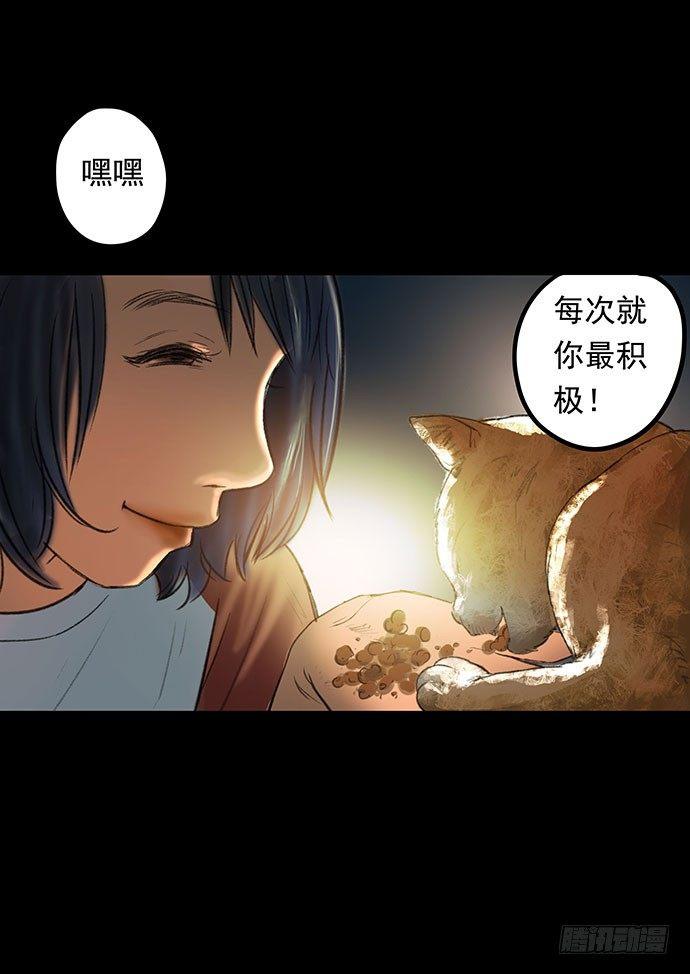 猫-148