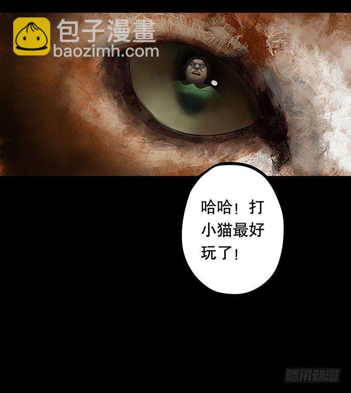 猫-551
