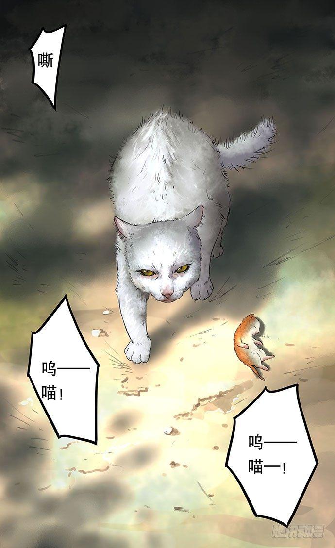 猫-237