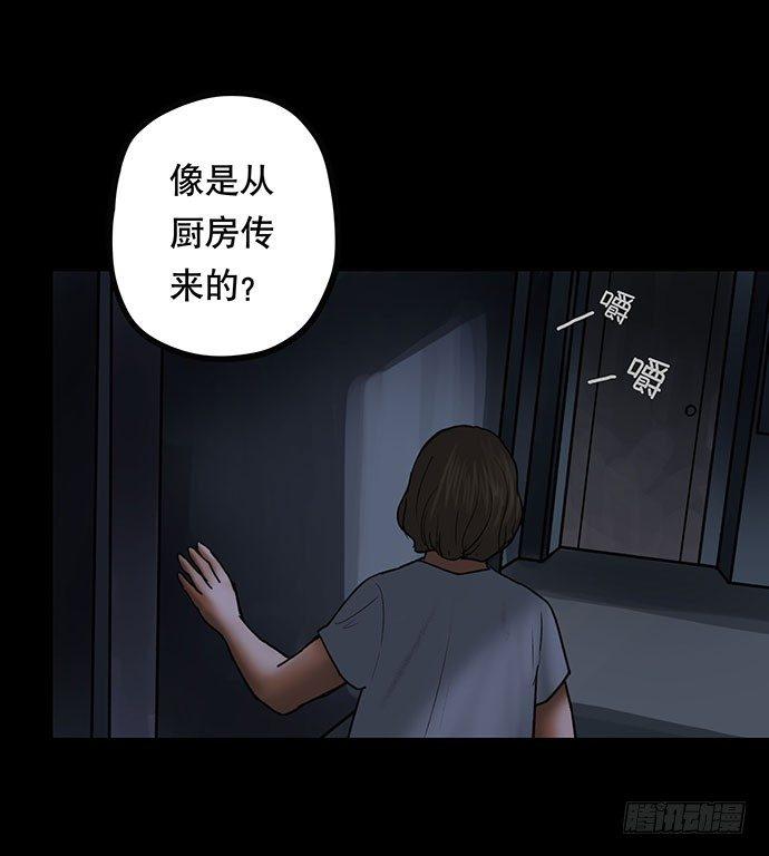 猫-442