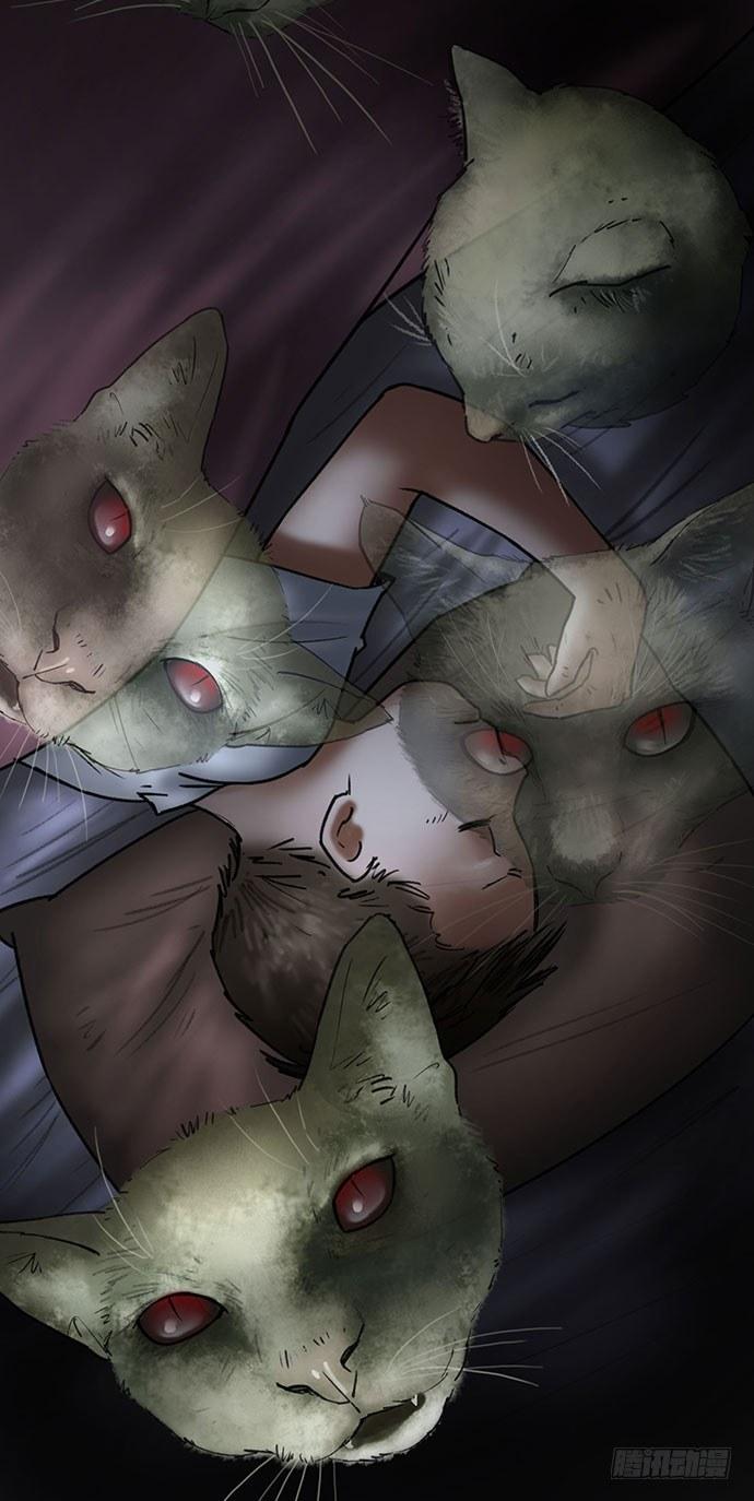 猫-417