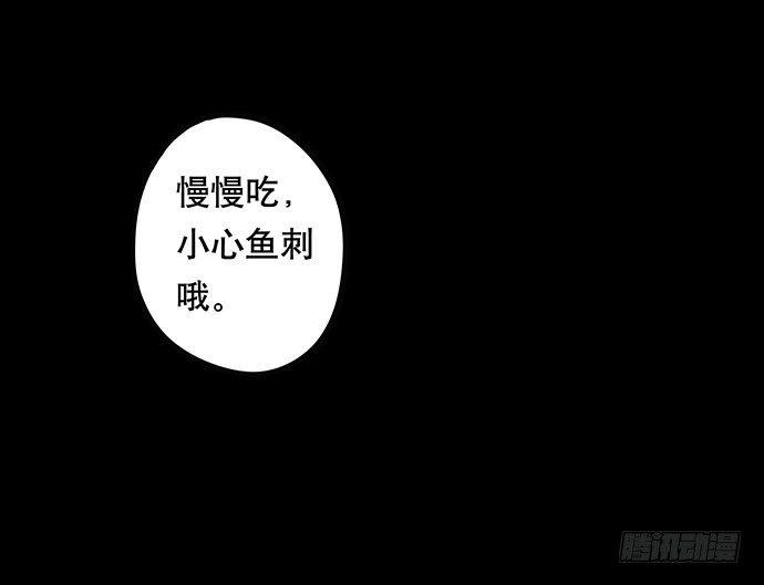 猫-428