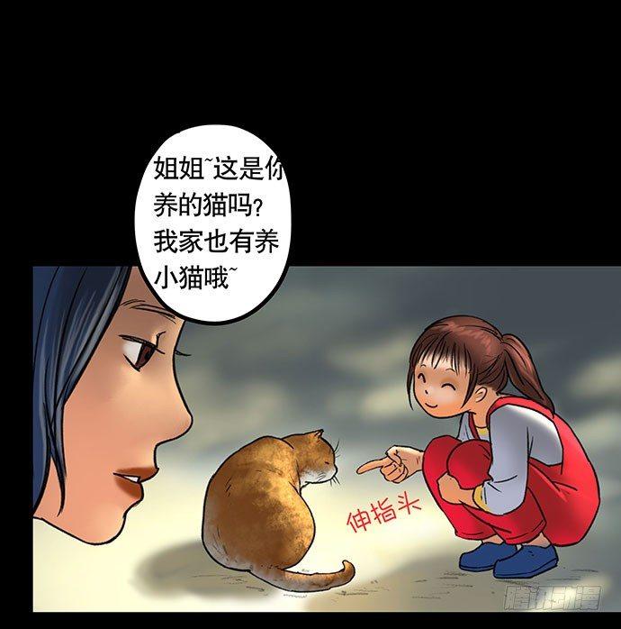 猫-536