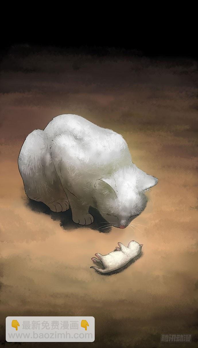 猫-21
