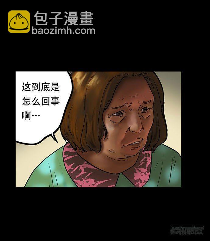 猫-528