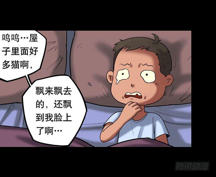 猫-420