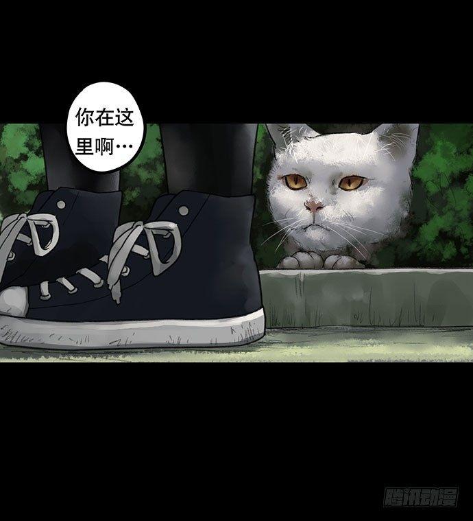 猫-259