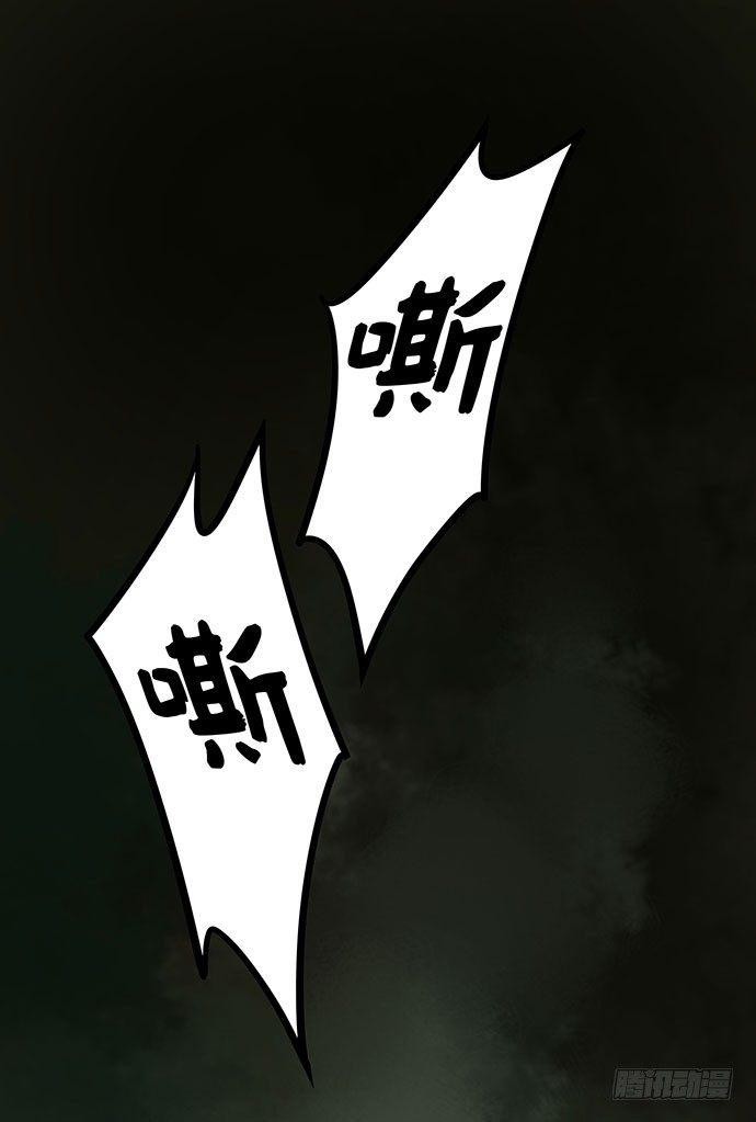 猫-552