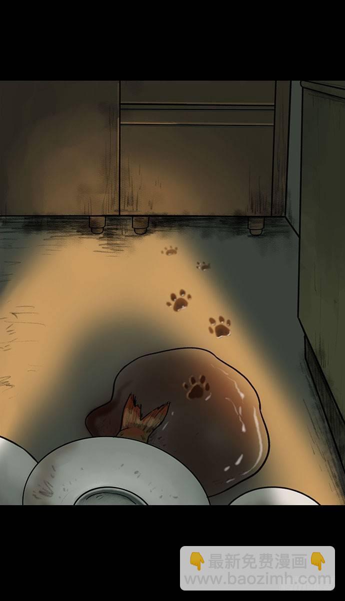 猫-321