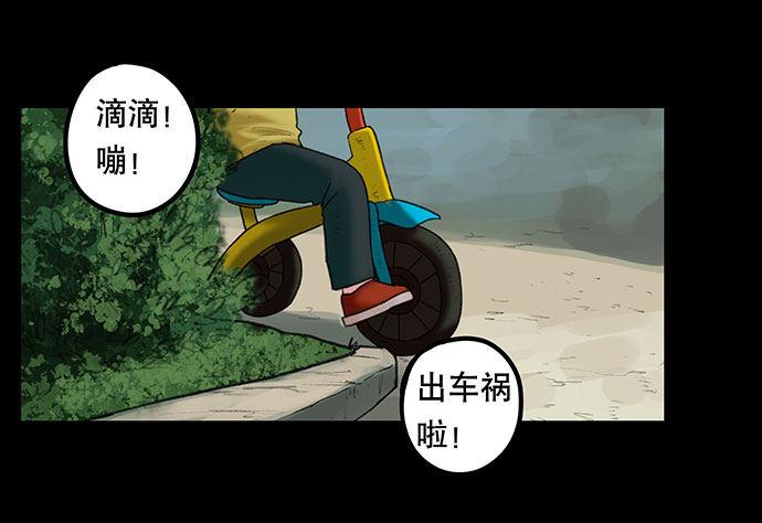 猫-213